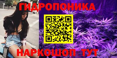 МДПВ Заводоуковск