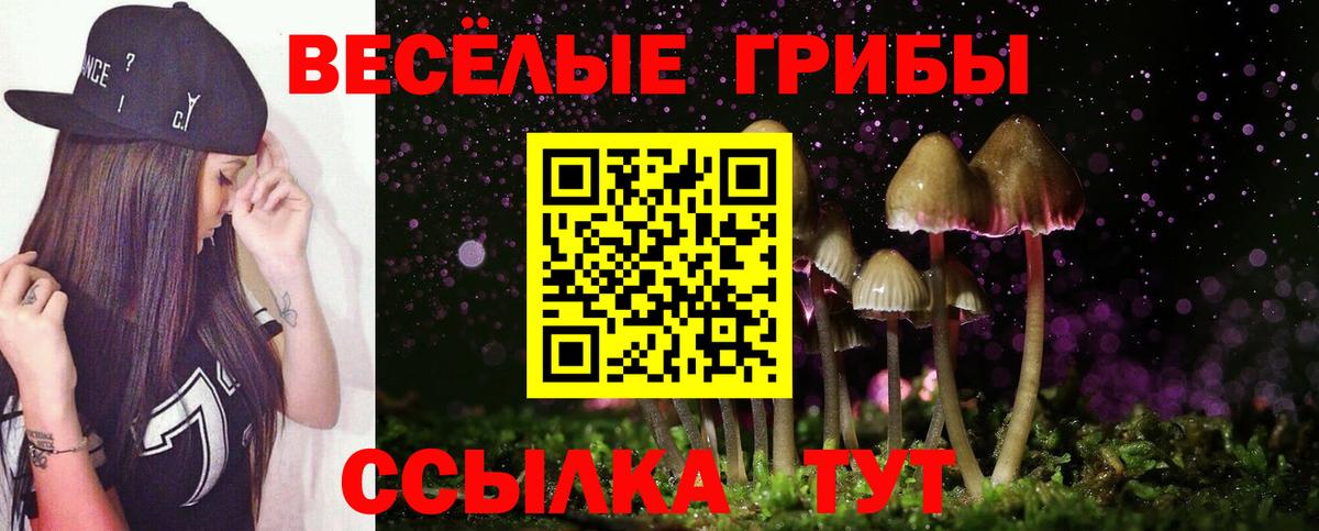 Псилоцибиновые грибы прущие грибы  Галлюциногенные грибы Magic Shrooms  купить  цена  Мурманск  Вход с VPN 