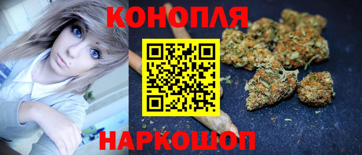 Бошки Шишки план Мурманск